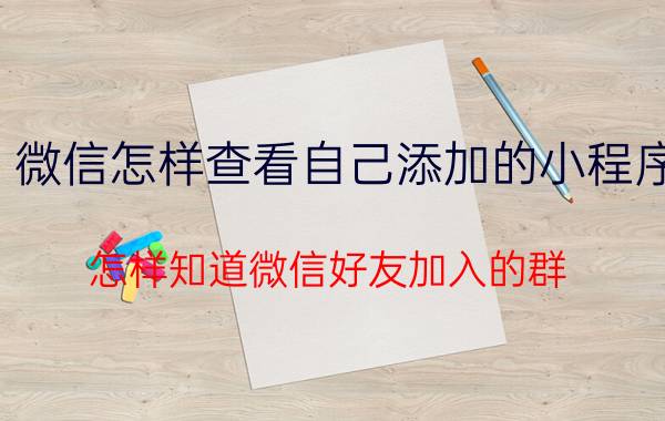 微信怎样查看自己添加的小程序 怎样知道微信好友加入的群？